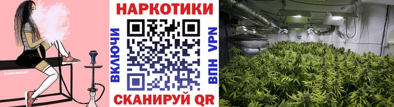 Все наркотики Рассказово СК  Меф  МАРИХУАНА 