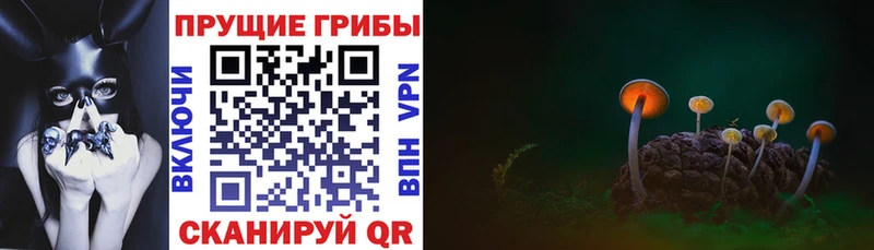 OMG онион  Рассказово  Галлюциногенные грибы Psilocybe  наркотики 